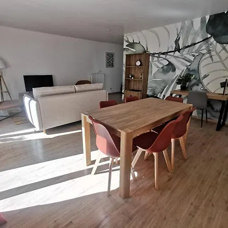Palais Copenhague Terrasse & Calme En Hypercentre Apartment *